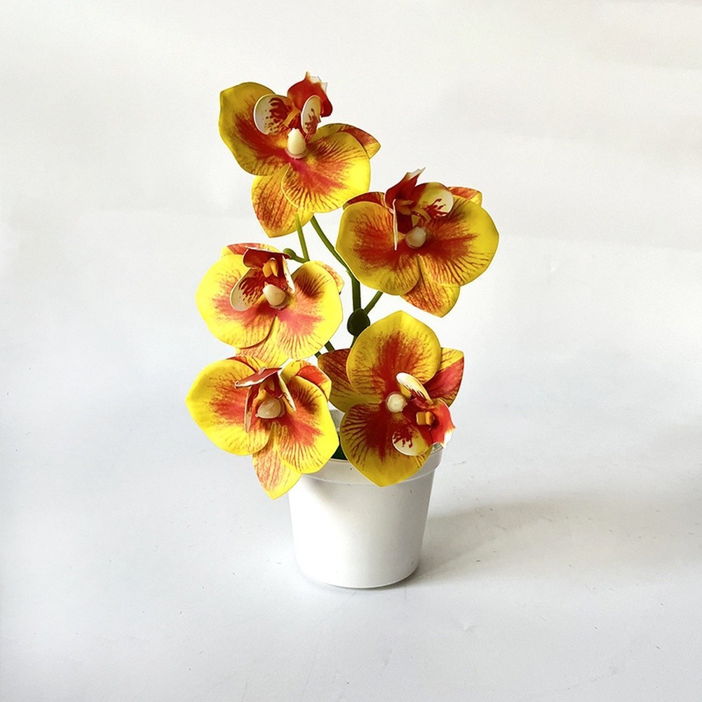 Artificial Orchid Flowers 5 Pcs 21cm Tall for Living Room Bedroom Office Decor