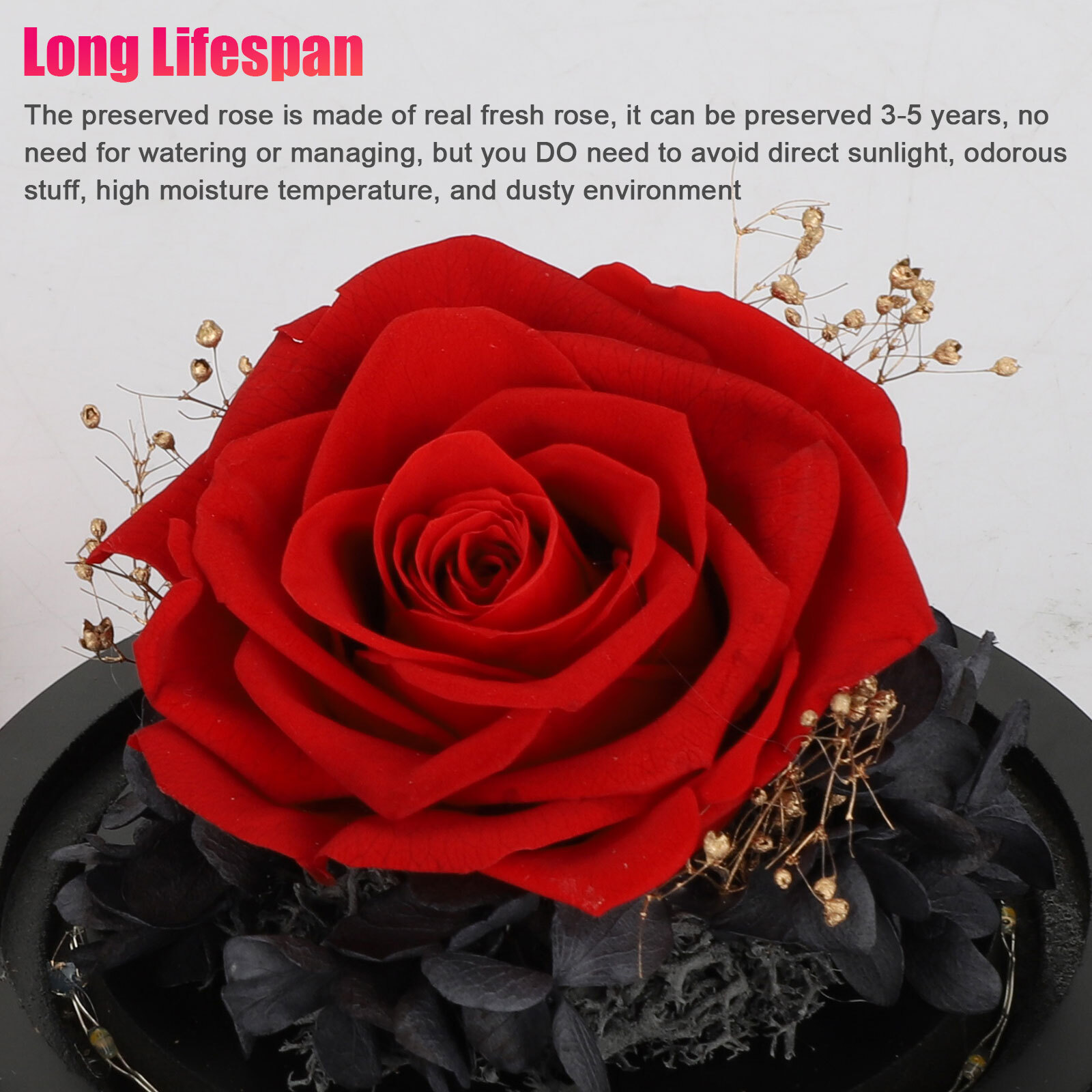 LED Eternal Forever Rose Flower Glass Dome Ring Lighted Christmas Preserved Gift
