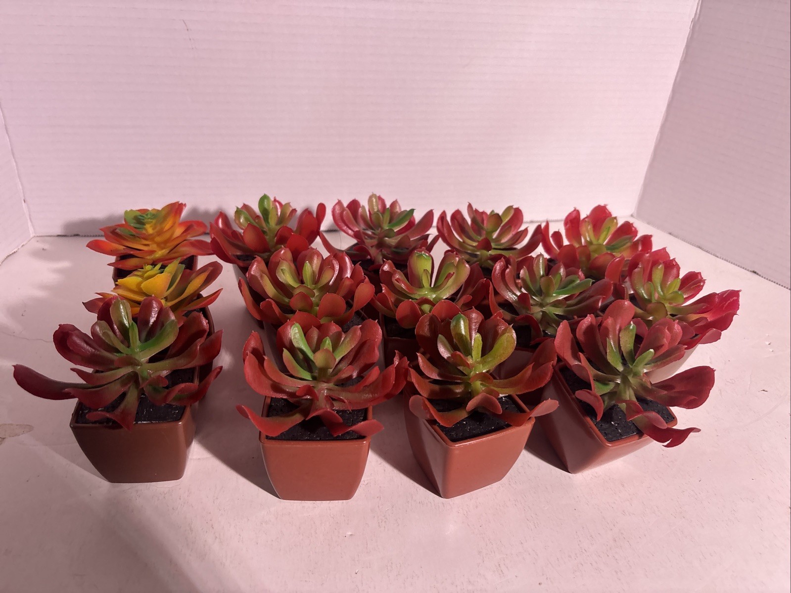 Succulent plants Artificial Variety Of 14 Plants