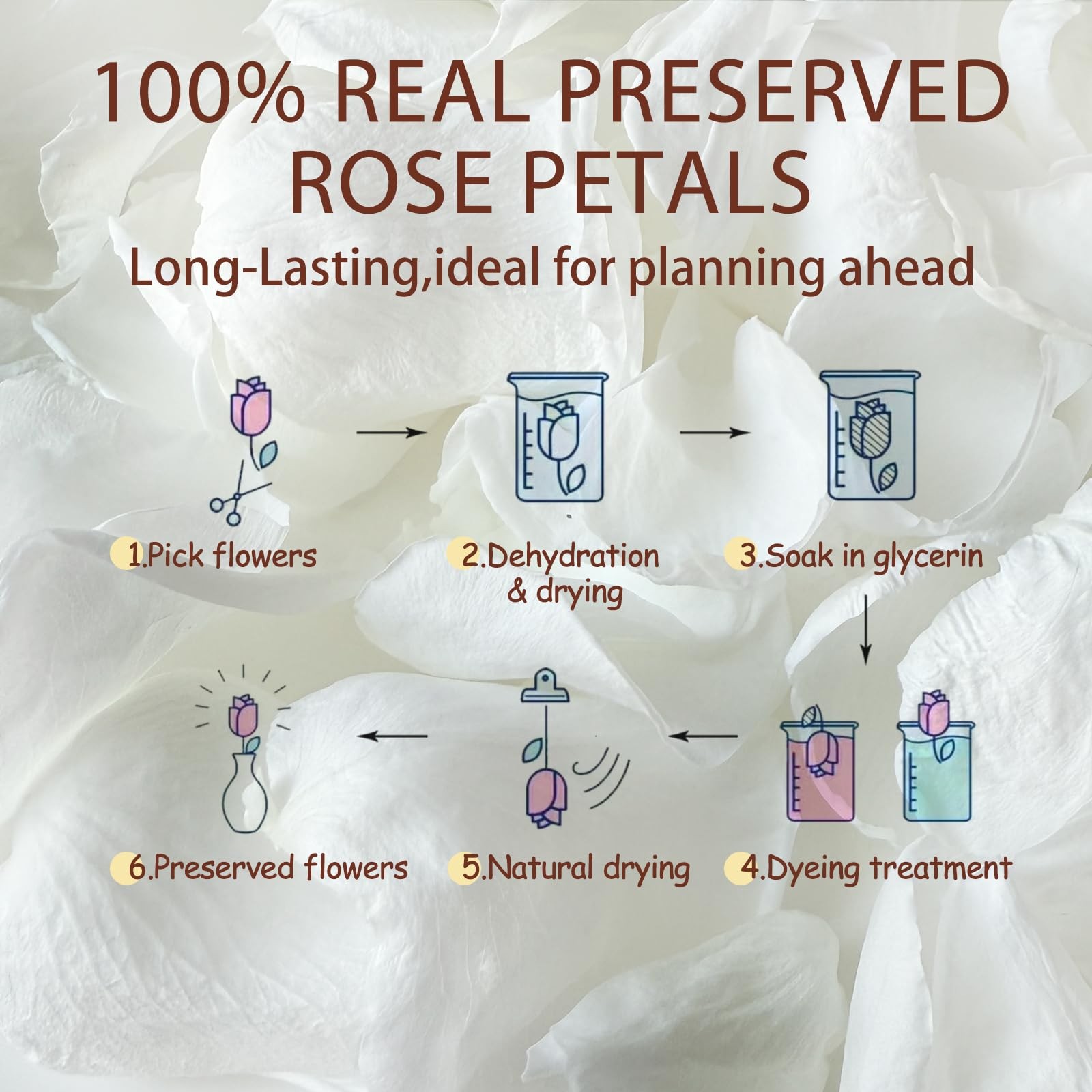 1.75oz Dried Real White Rose Petals Preserved Flower Wedding Valentine Decor