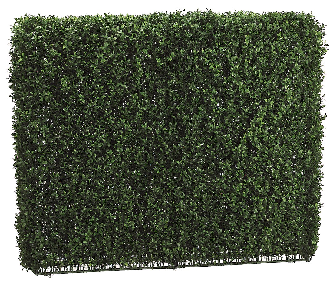 33 Inch Tall Boxwood Hedge Two Tone Green