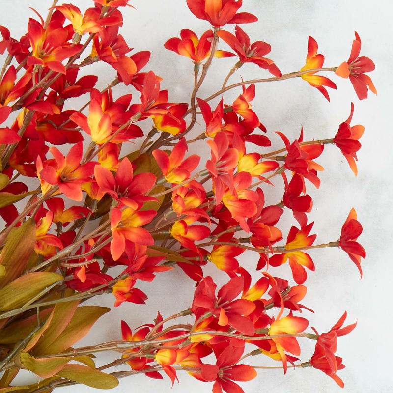Sunset Orange Poly Silk Tweedia Bush