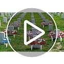 Set of 2 Artificial Cemetery Flowers with Vase,Grave Memorial Flowers,Artificial