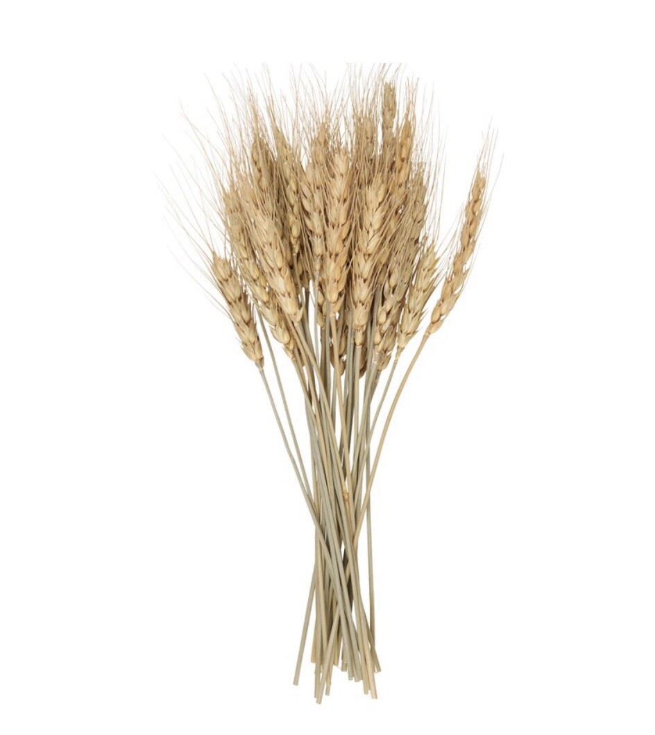 Wheat Bundle Bouquet