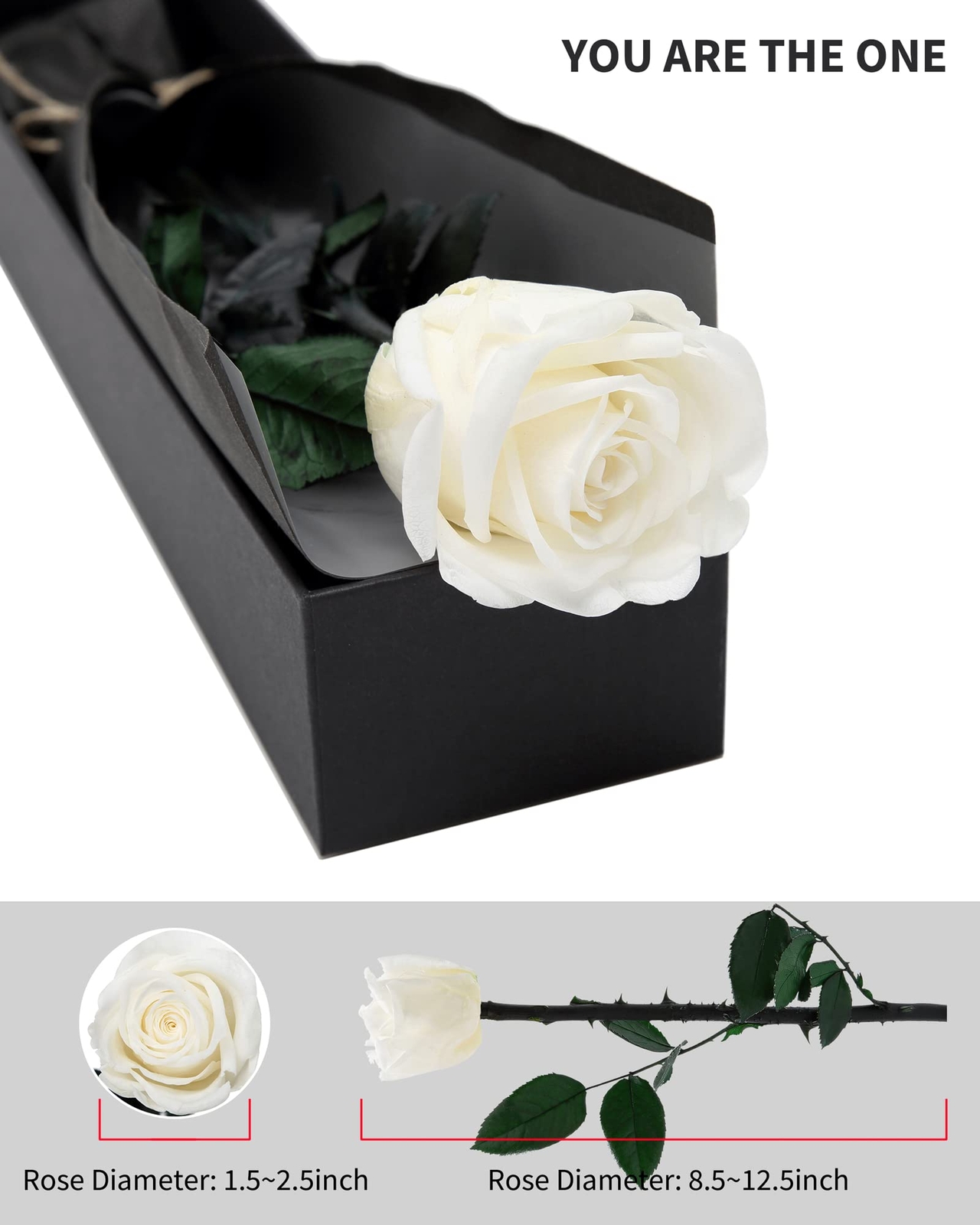 White Preserved Roses Prime Delivery Real Rose Gifts Women Mom Birthday