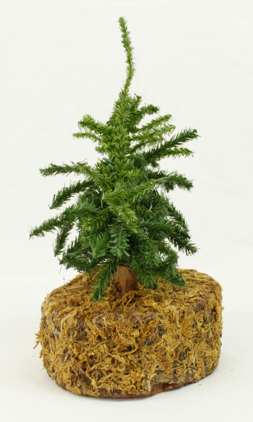 Two Small Pine Trees Tabletop Shelf Nature Decoration Moss Base