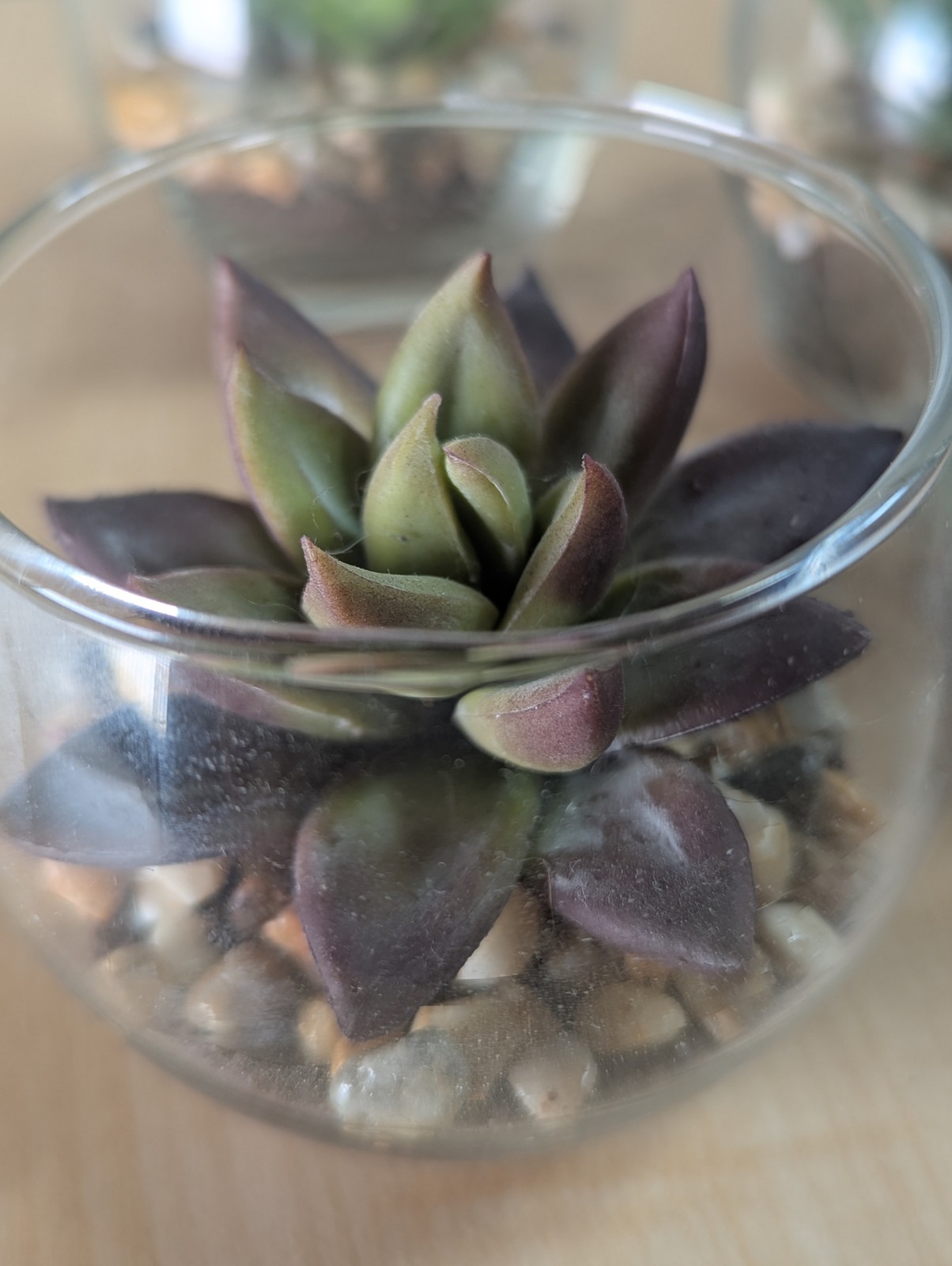 Set Of 4 Glass Bowls With Faux Succulents Pebbles Dirt 3″X3″