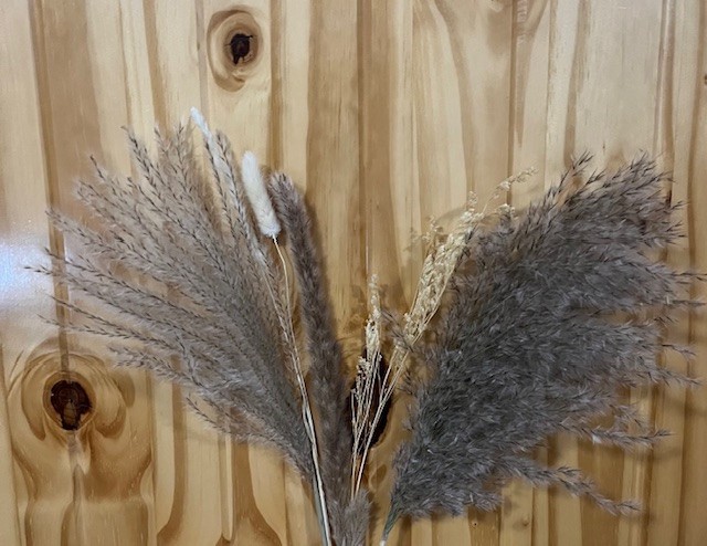 Natural Dried Pampas Grass ~ Boho ~ Home Decor ~ Wedding ~ 70 pcs