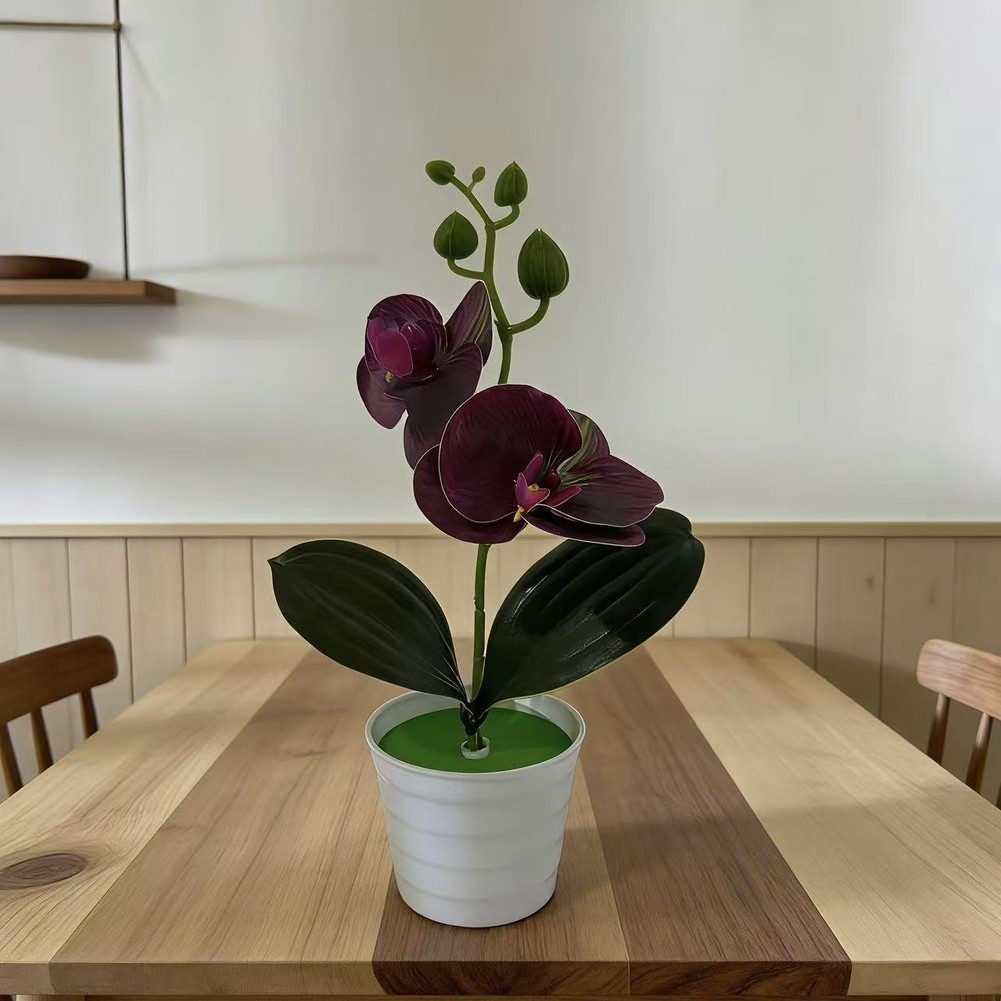 Fake Orchid Plant Phalaenopsis Type for Living Room Bedroom Study Decor Plastic