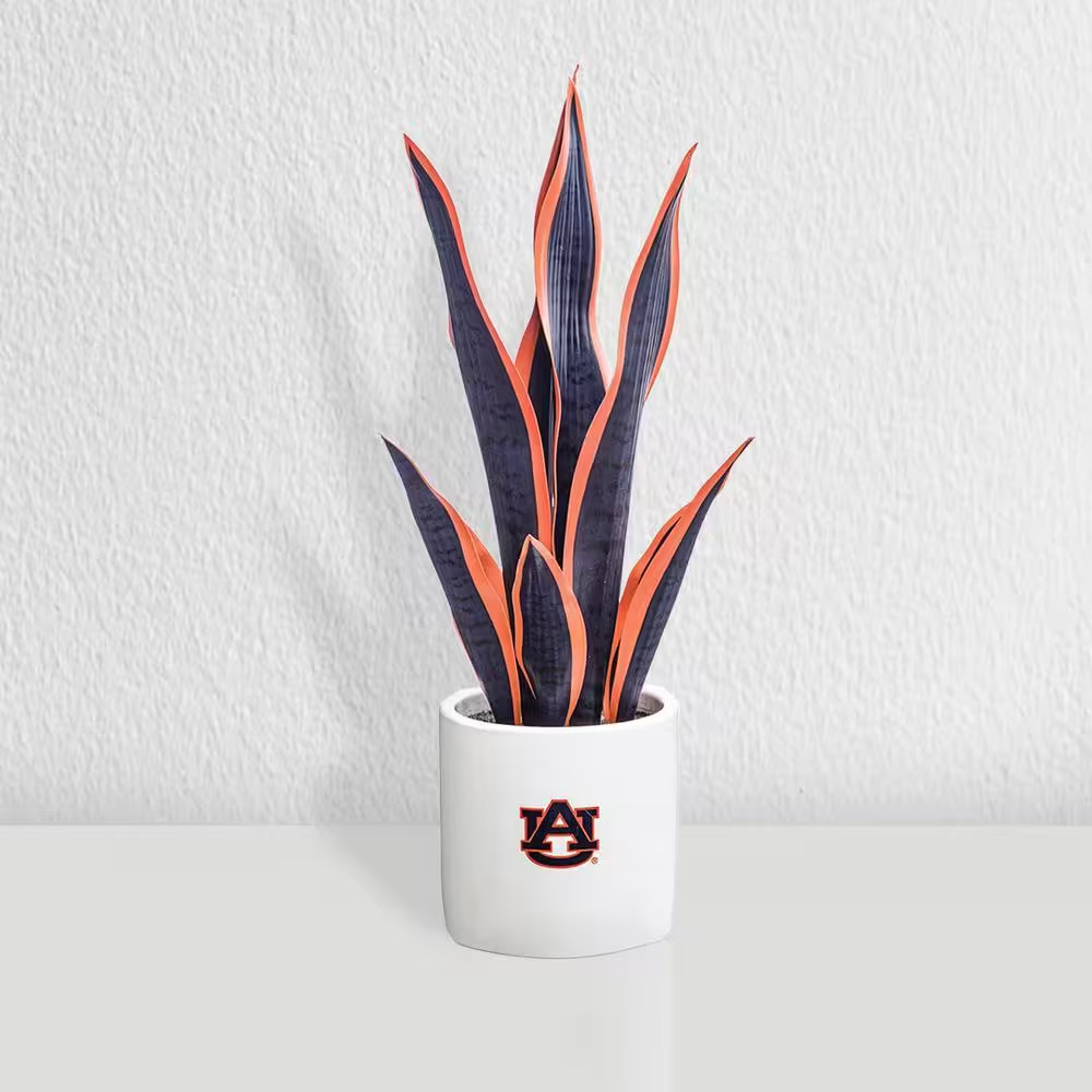 20 In. Auburn Artificial Snake Plant – Auburn Fan Gifts