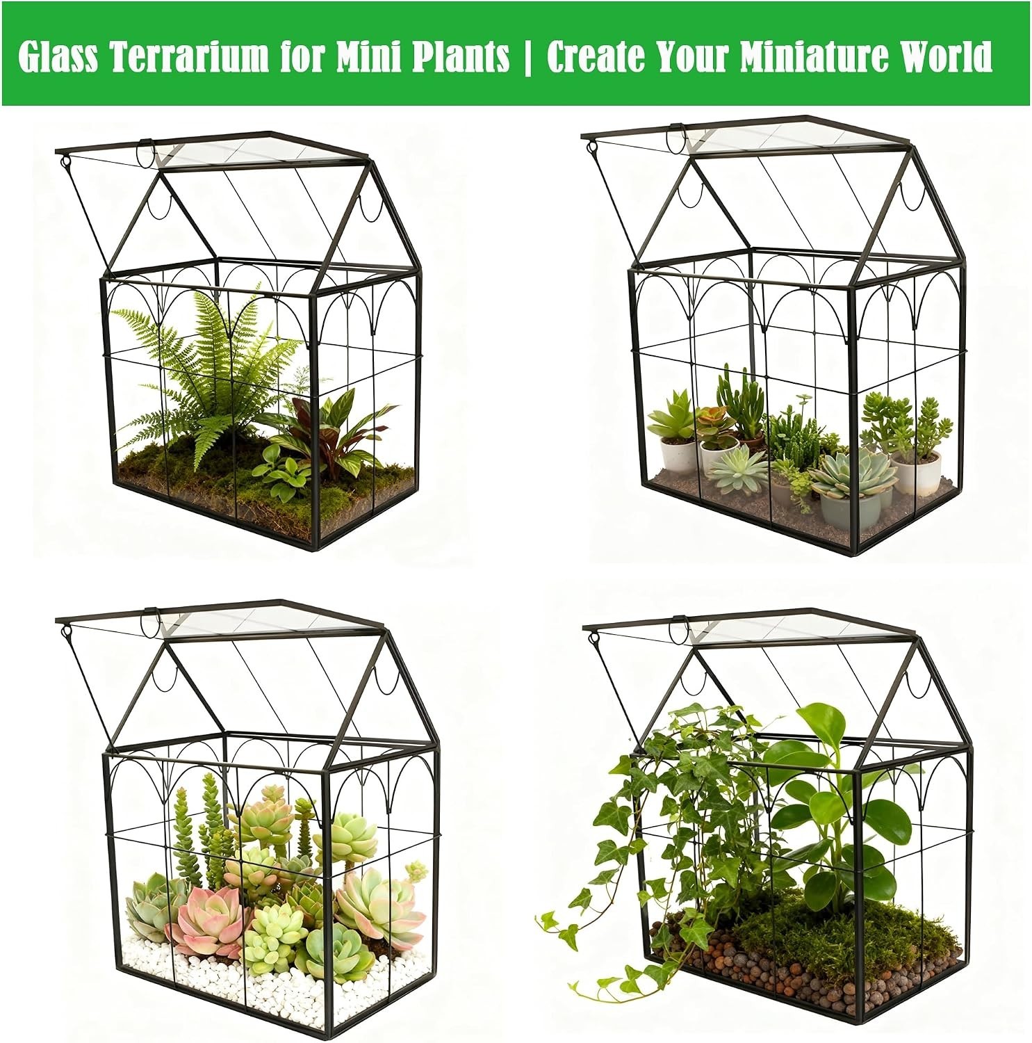 Glass House Geometric Terrarium for Plants