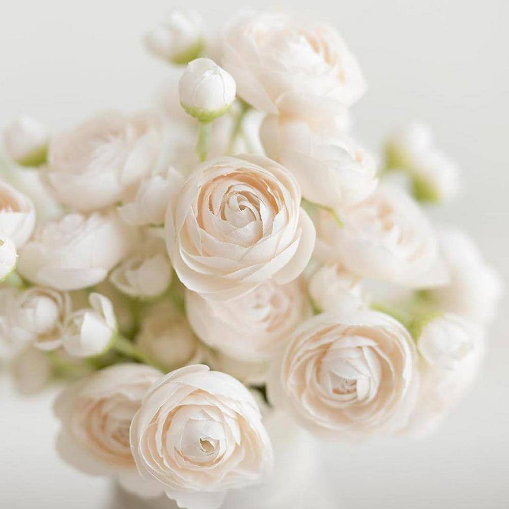 10.5 In. White Indoor Artificial Ranunculus Flower(18 Stems)