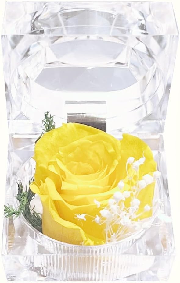 Preserved Rose Real Fresh Rose in Mini Clear Ring Box, Eternal Flower Rose Gifts