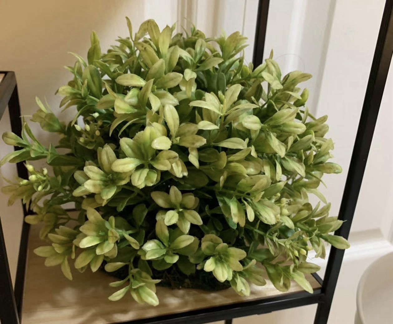 Boxwood Topper Greenery Artificial Plant To Place In Bowl Or Top Of A Urn