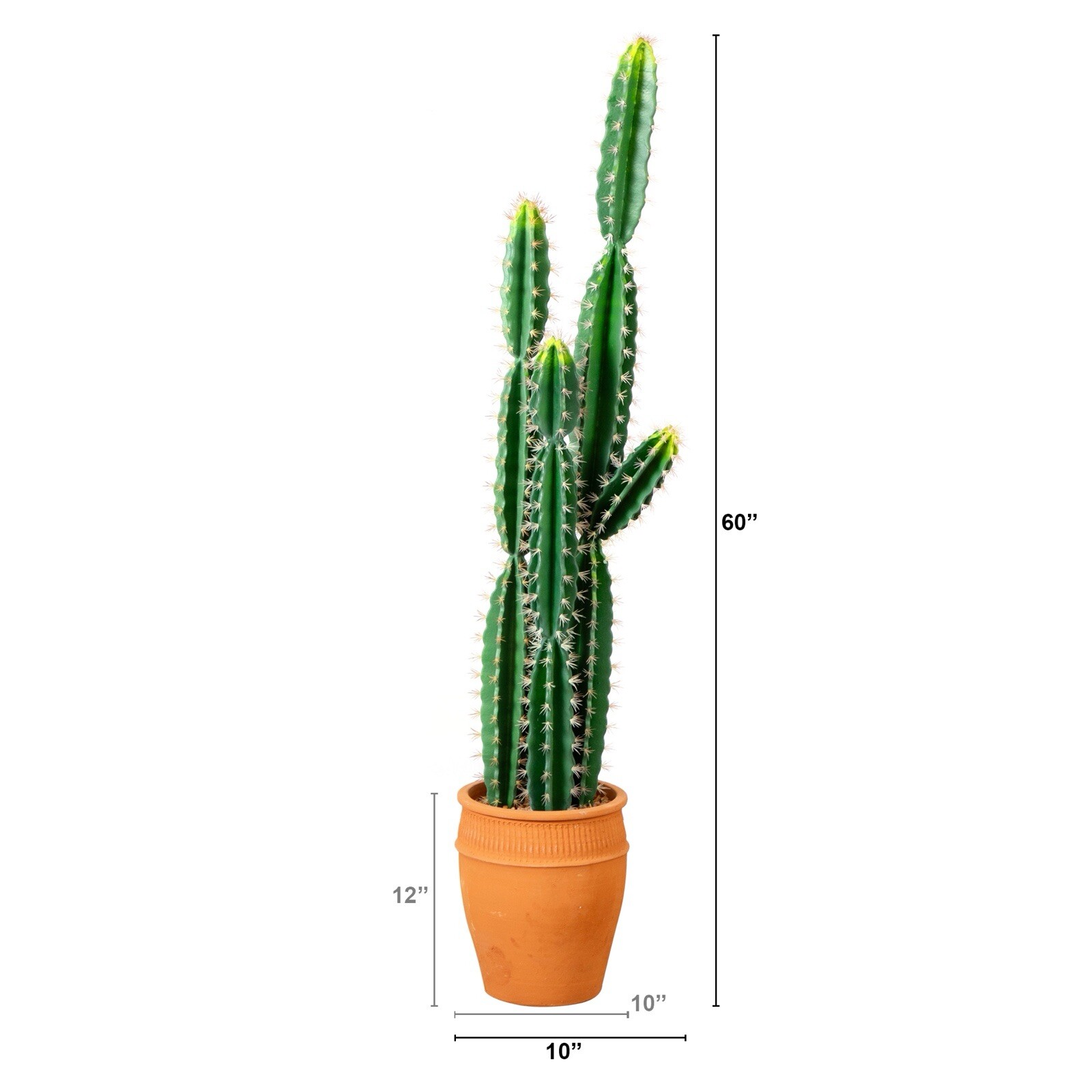 5’ Artificial Cactus in Terracotta Planter Home Decor. Retail $224