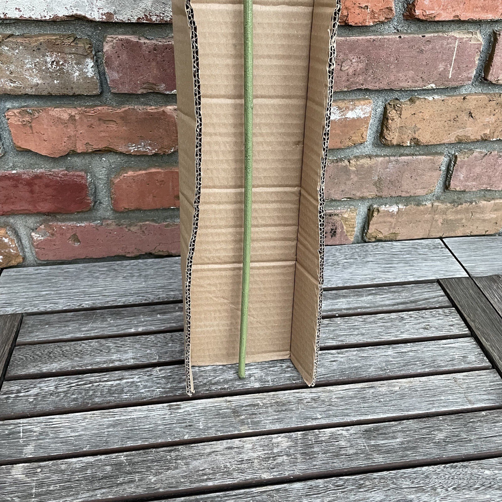 Pottery Barn Faux Decorative Olive Branch (1) Green Large 59” long NIB