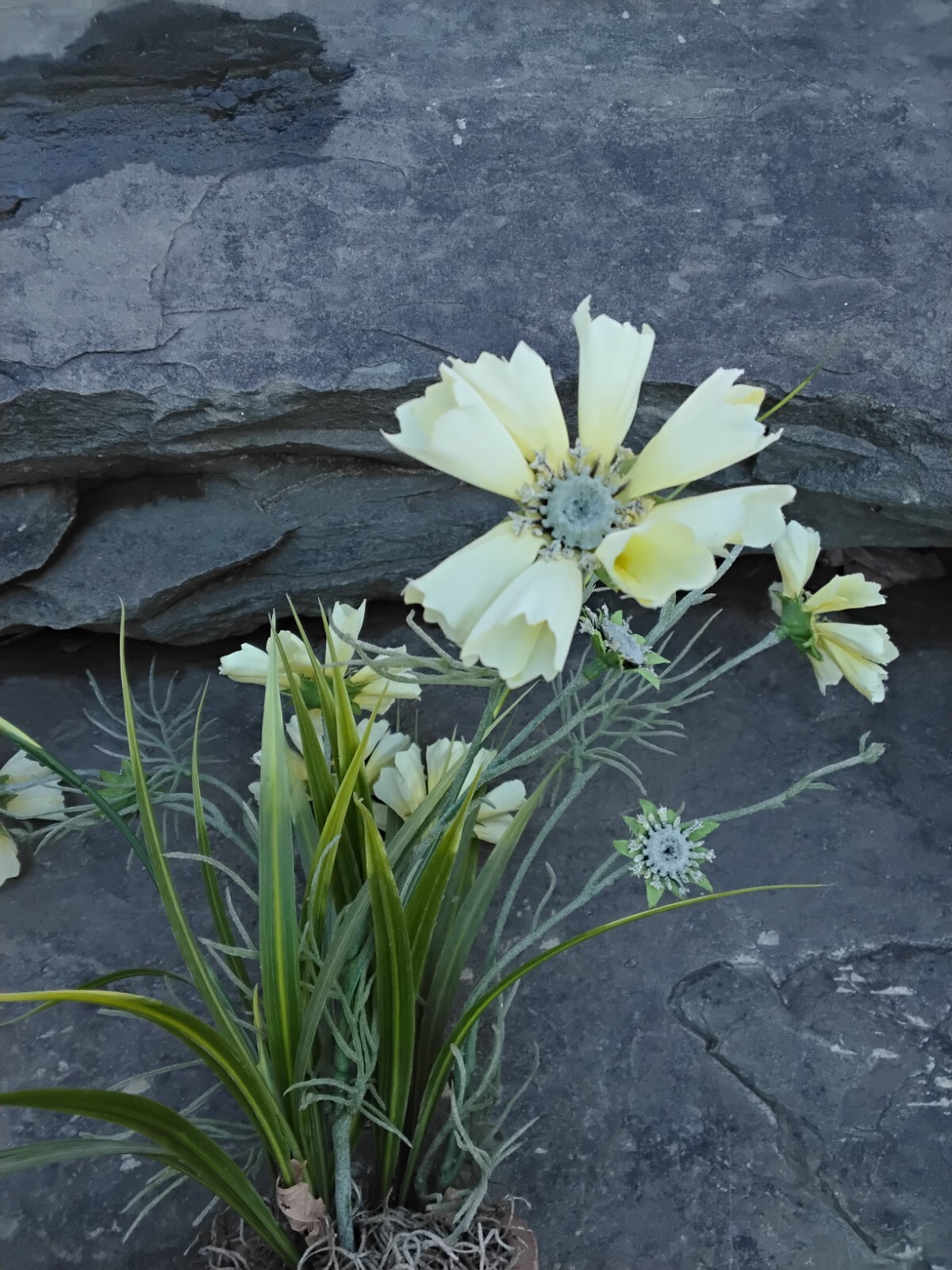 Faux Yellow Spring Flower Plant in Terra Cotta Pot, Daisy, Toplis