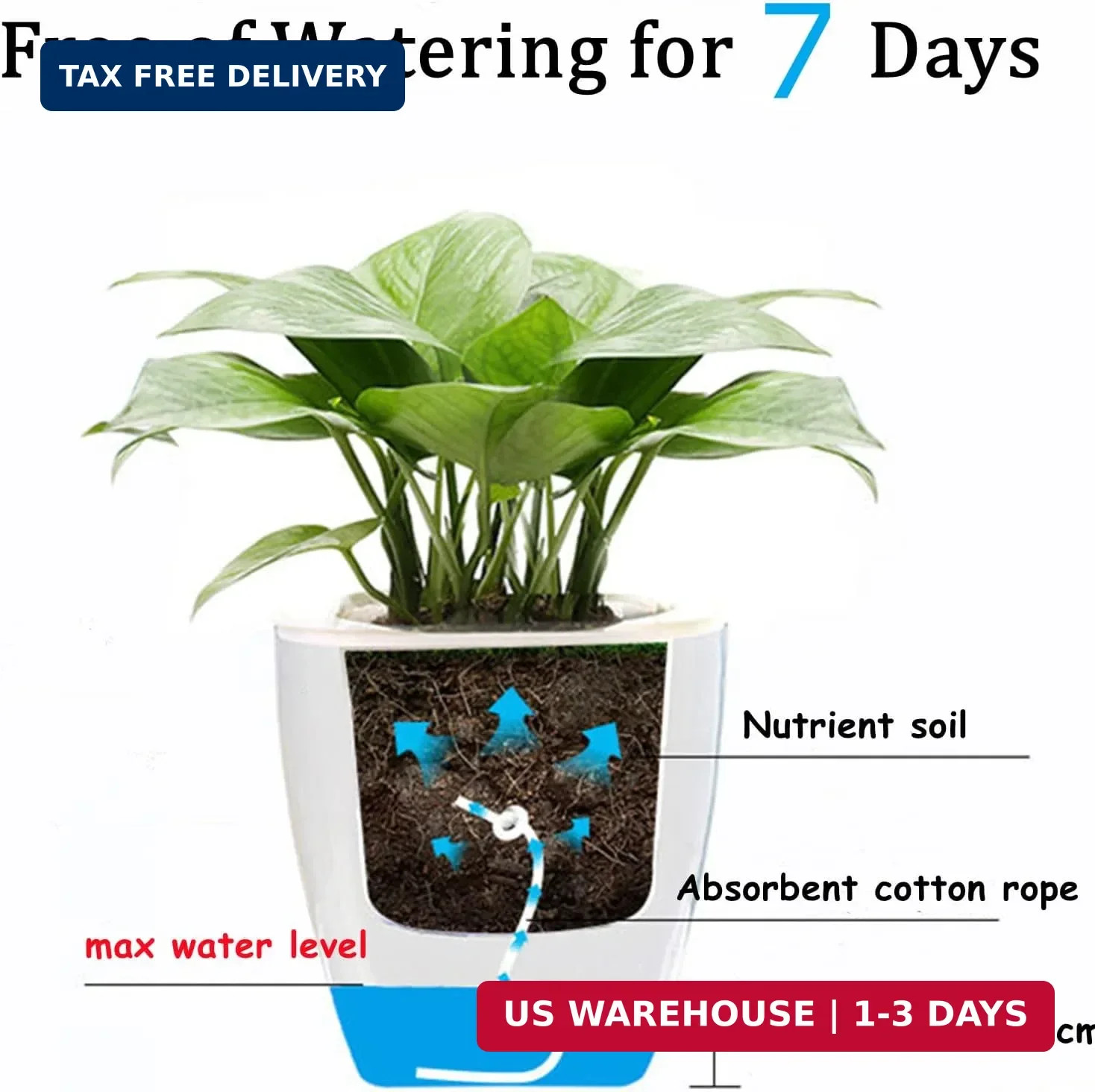 6 Pack Plastic Self Watering Pots, 4 Inch Clear African Violet Pots for Indoor P