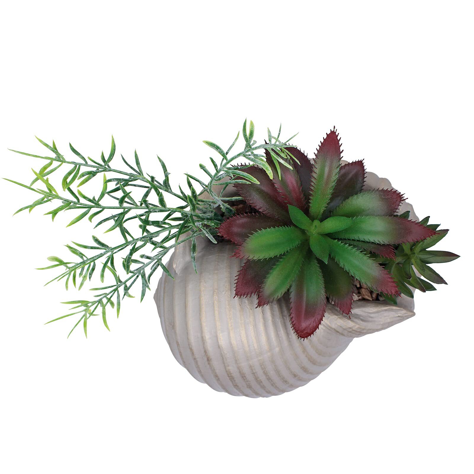FAUX SUCCULENTS IN CONCH SEA SHELL HOME DECORCOASTAL BEACH DECORATIONS FOR HOME