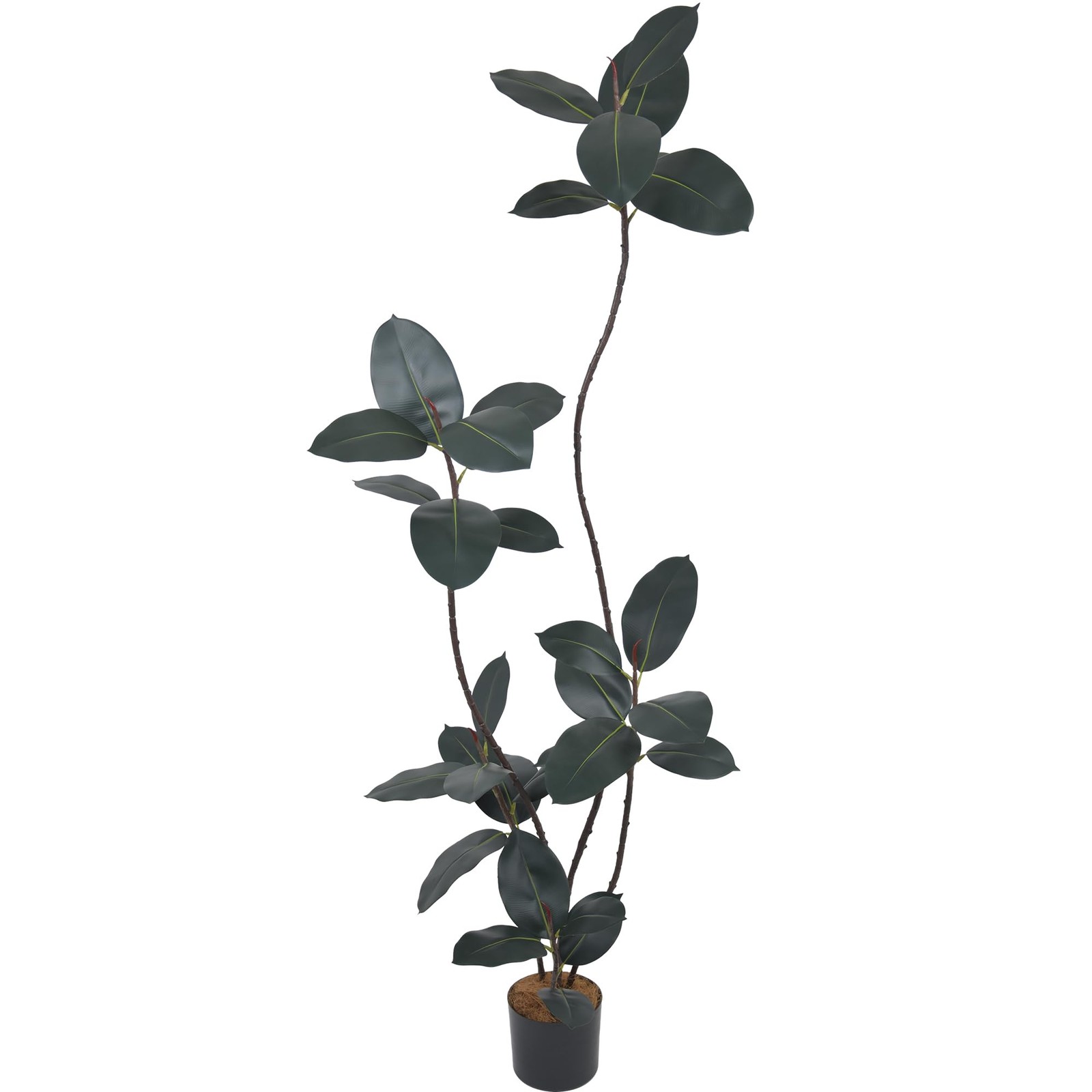 6FT Artificial Black Tree with Lifelike Leaves, 72in Faux Tropical Ficus Elas…