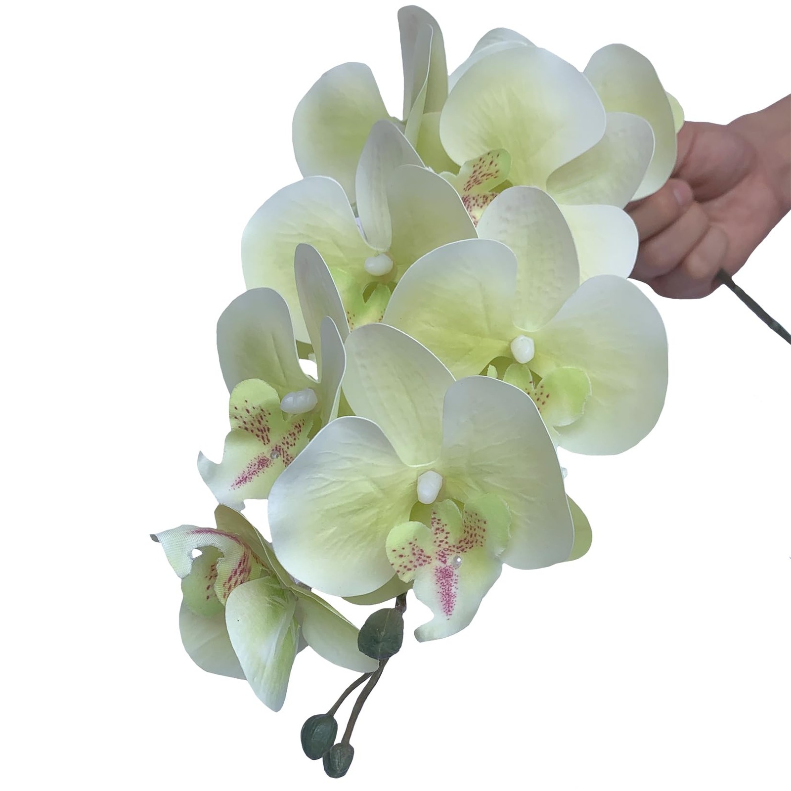 32 Inch Artificial Phalaenopsis Flowers 6 Pcs Artificial Orchid Flowers Stem …