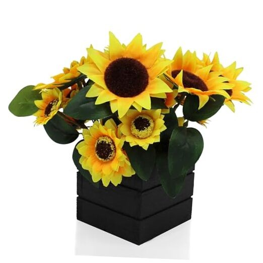 with Wooden Vase Reals and Green Leaves in Black Wood Box for Home Sunflower