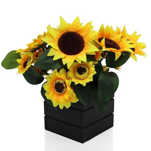 with Wooden Vase Reals and Green Leaves in Black Wood Box for Home Sunflower