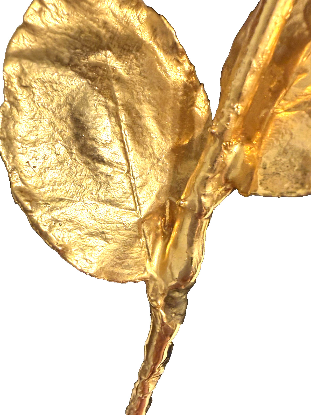 Real Natural Rose Flower Coated Preserved And Dipped In Gold
