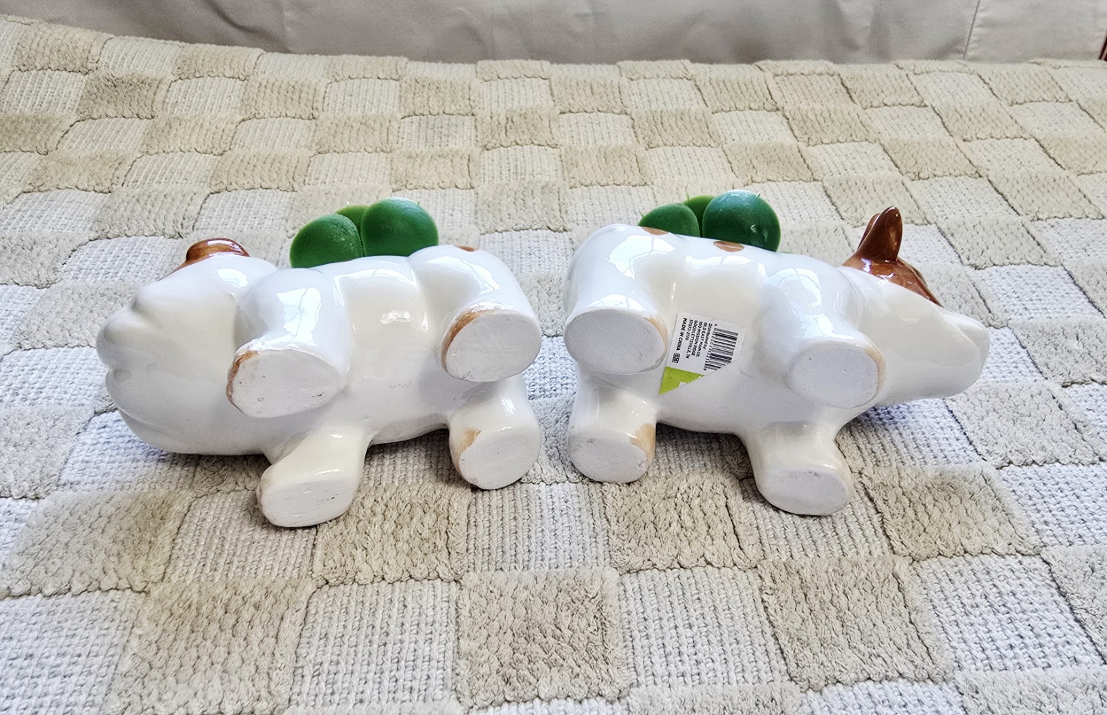 Old East Main Co. High Quality Animal Shape Planters With Lifelike Succulent