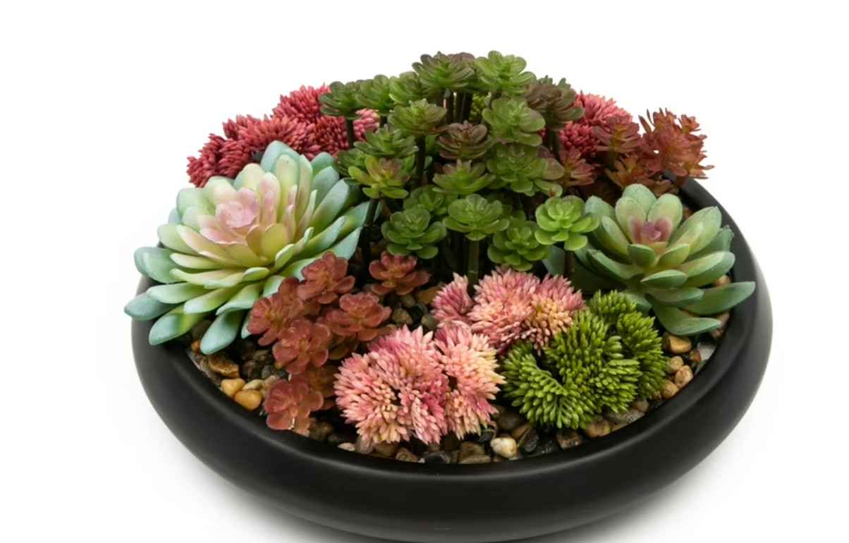 Better Homes & Gardens Artificial Mixed Succulent in Black Round Ceramic Bowl