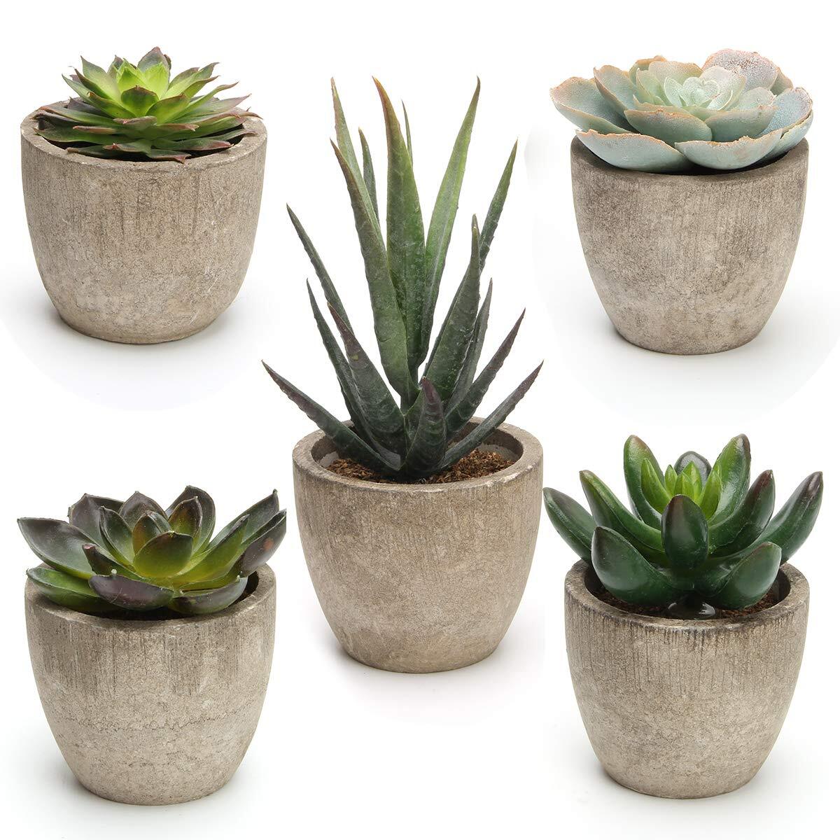 Set of 5 Artificial Succulent Plants in Pots Assorted Decorative Faux Cactus