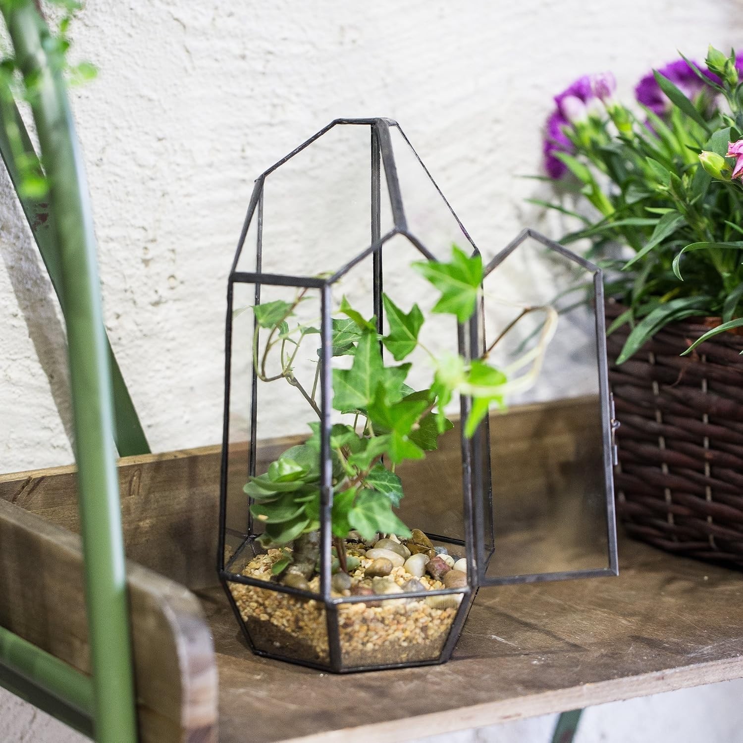 Compact Irregular Glass Terrarium Planter – 5.1” Indoor Decor for Moss & Fern