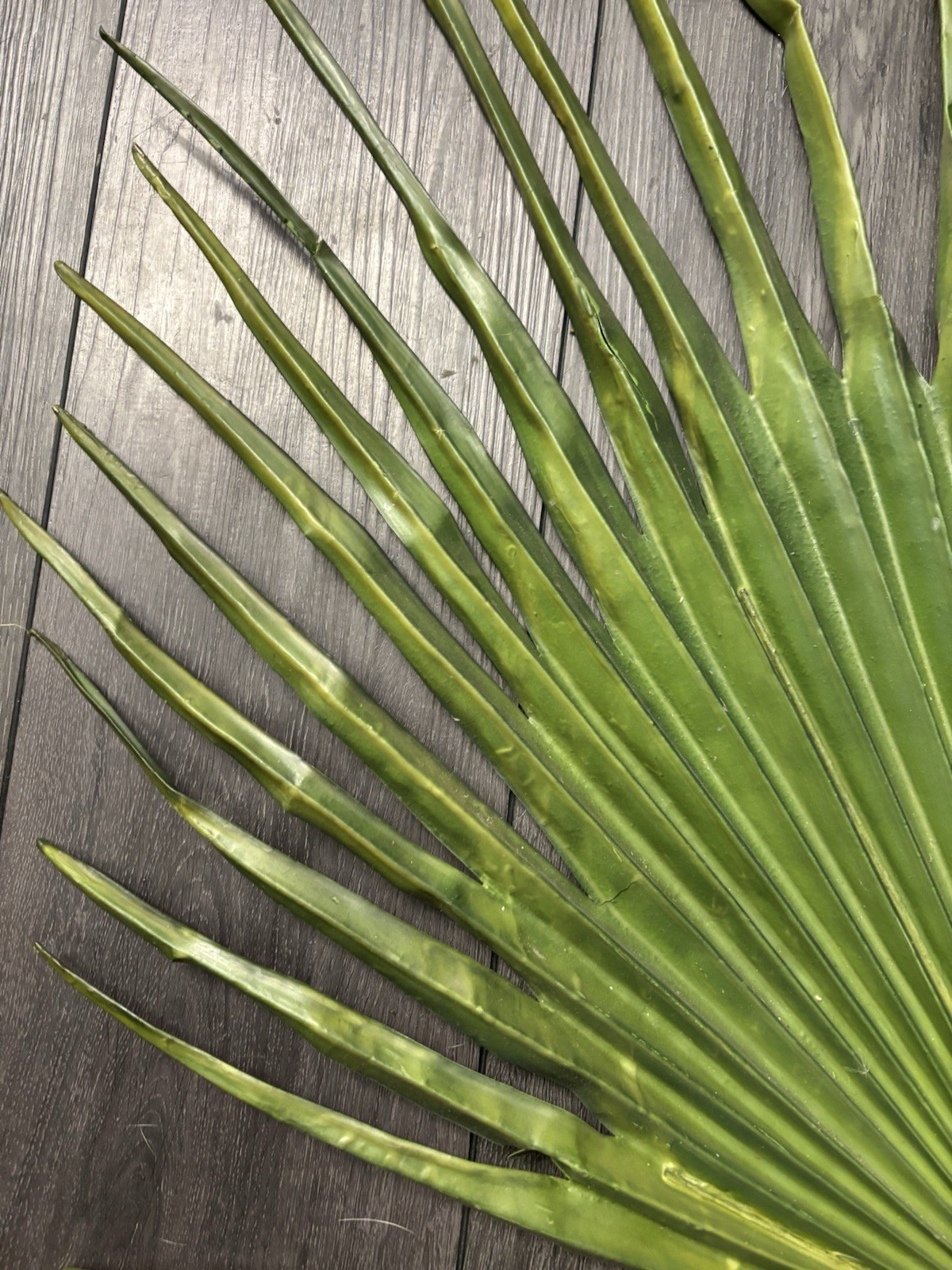 Large Fan Palm Leaf Stem 58” Tropical Boho Coastal Wedding Home Decor Prop