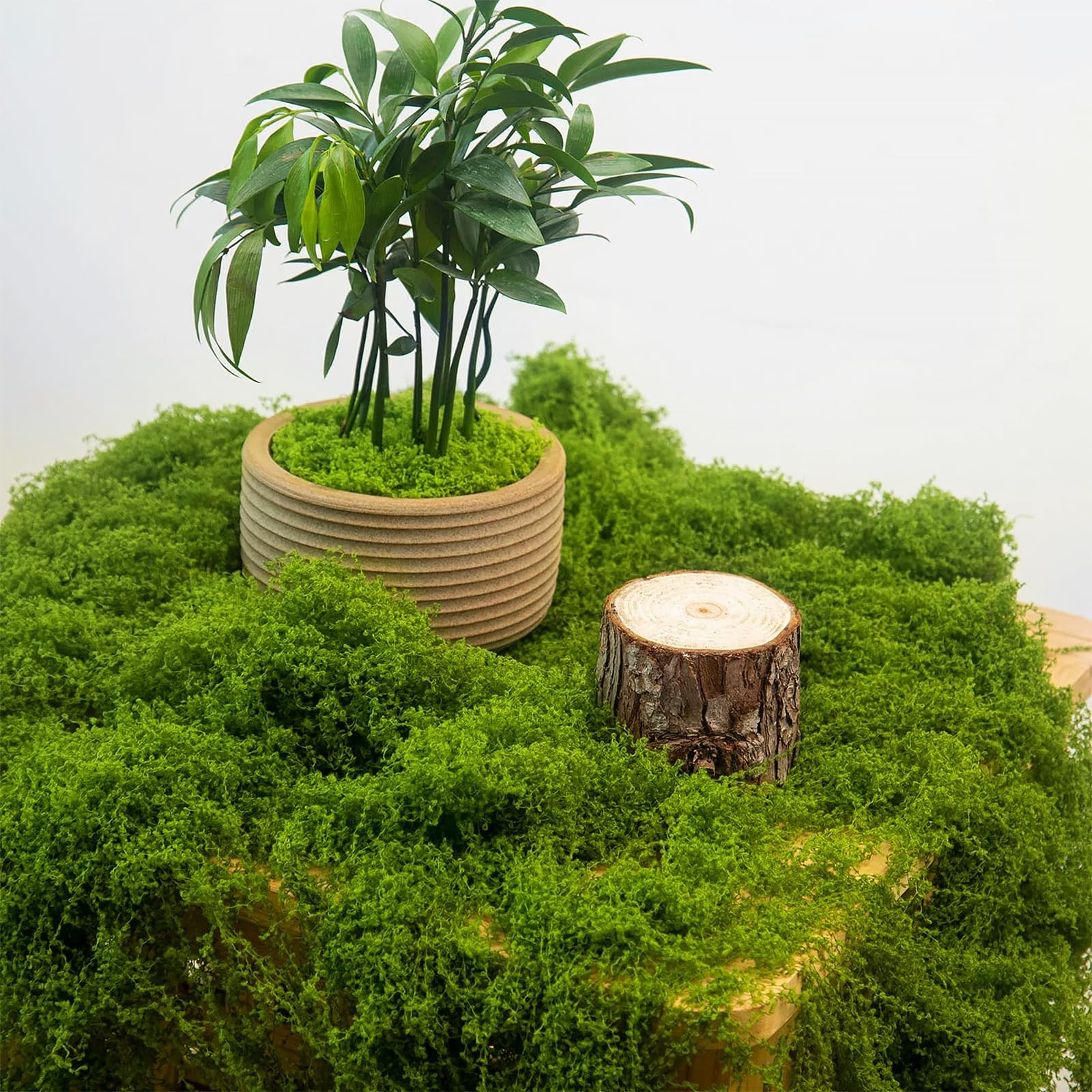 PCREGPAE 1.5lb Artificial Fake Green Moss for Crafts Plants Indoor | Comes wi…
