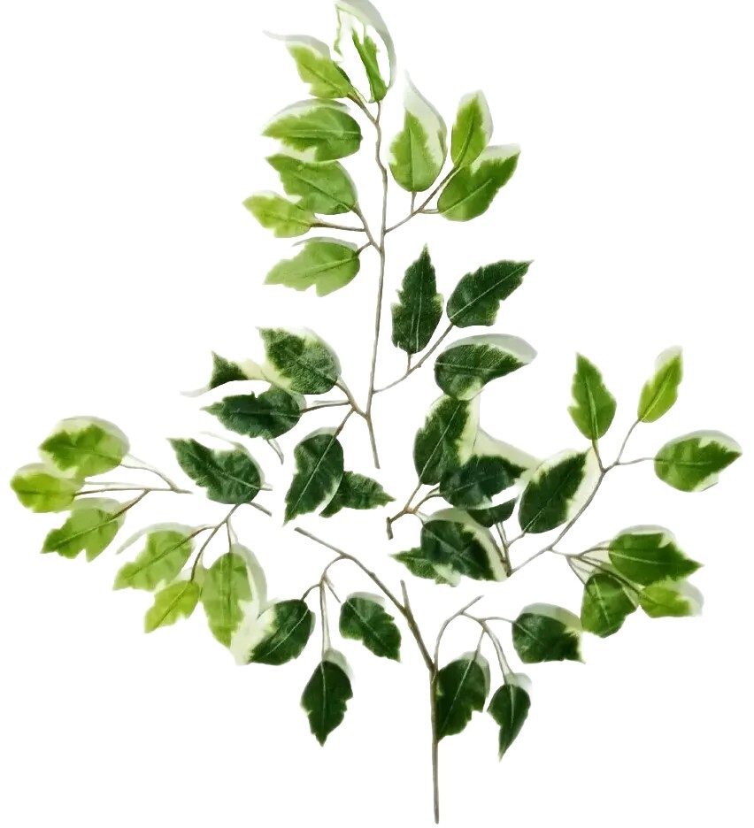 (6-Pack) Variegated Ficus Leaf 23″ Spray Filler Background Foliage Home Decor US