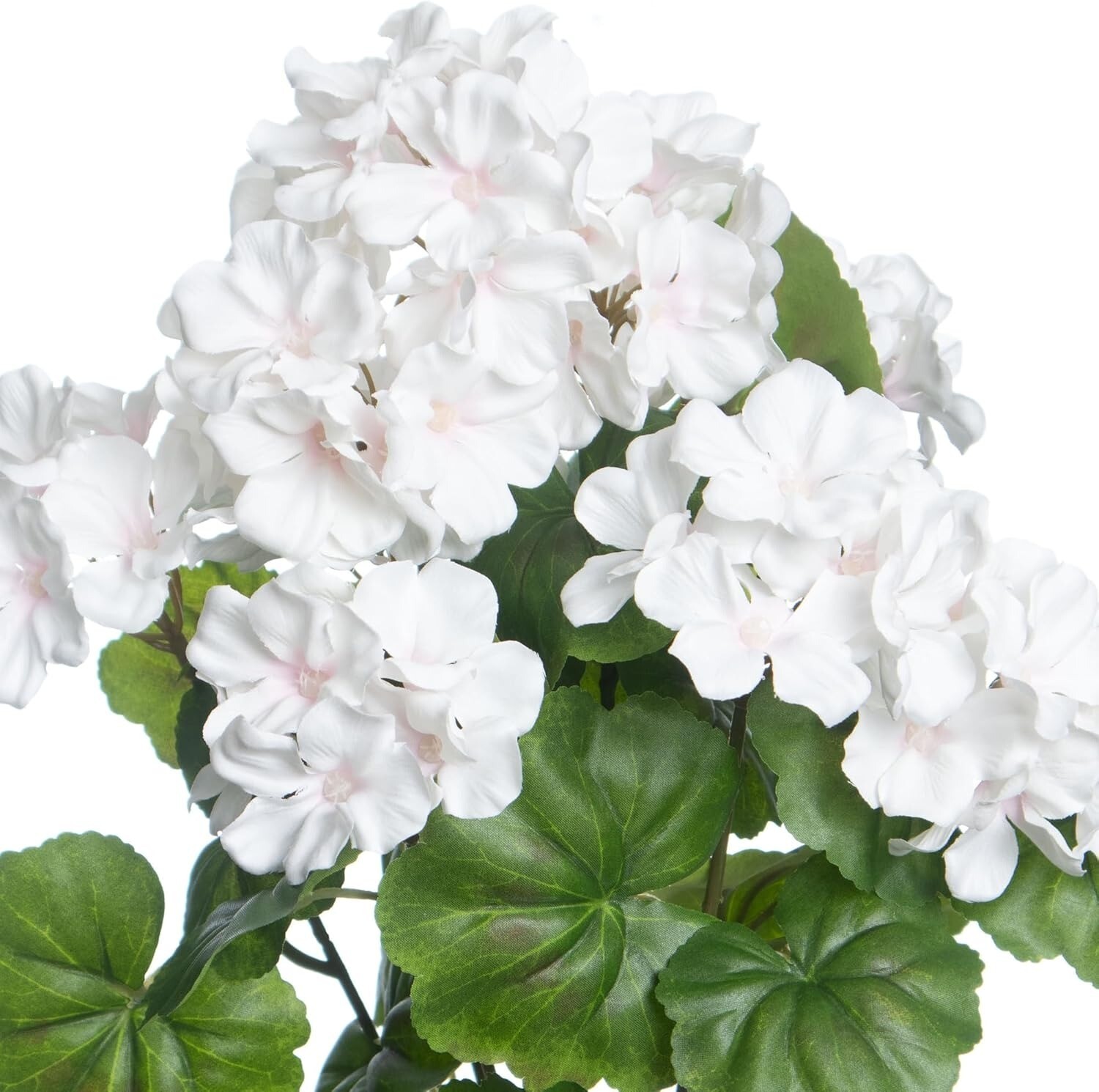 White & Pink Geranium Bush by Ashland – Spring Floral, Greenery, and Home Décor