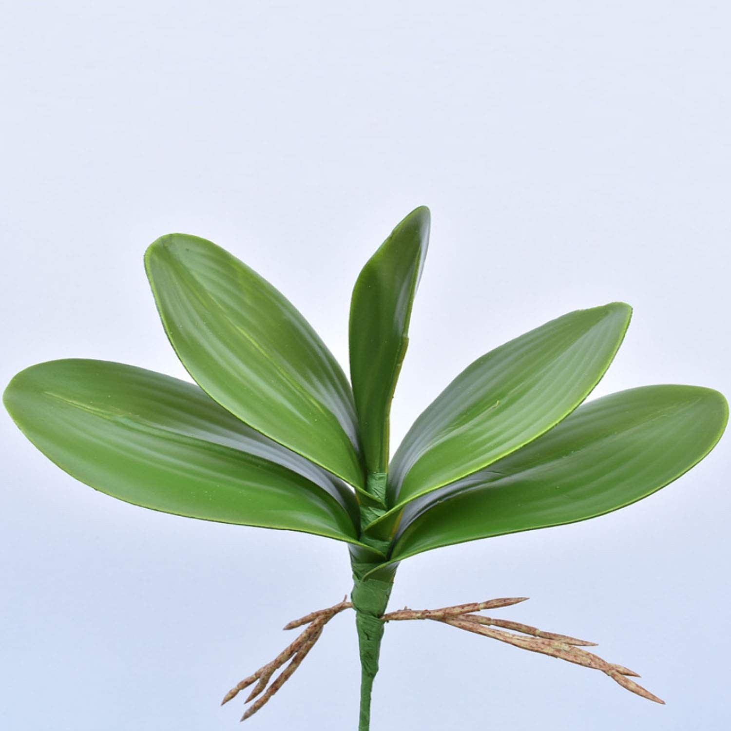 6 PCS Artificial Phalaenopsis Orchids Leaves 11 inches Green Faux Orchids Lea…