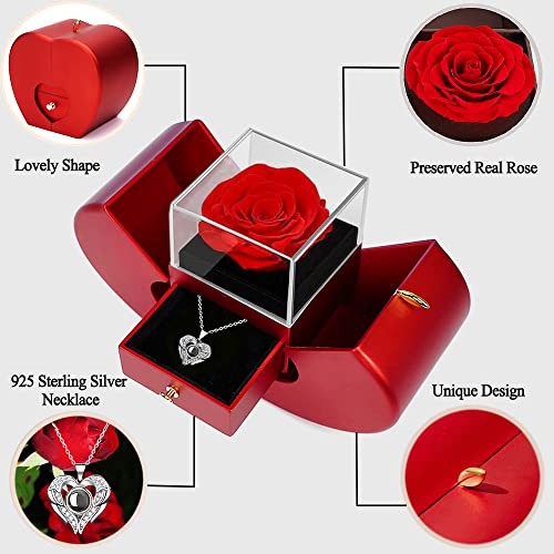 Preserved Real Rose with I love you Necklace 100 Languages, Gifts for red