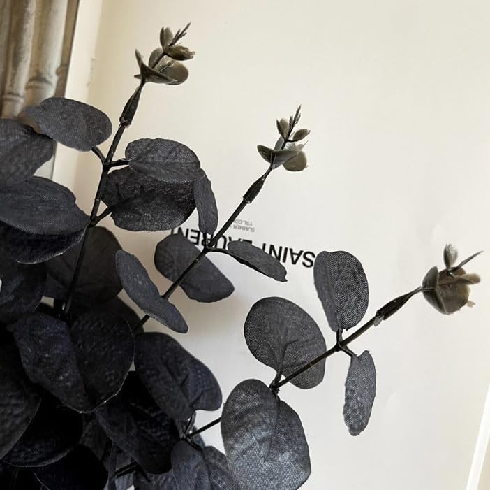 Stunning 5-Piece Black Eucalyptus Stems – Create Elegant Floral Arrangements