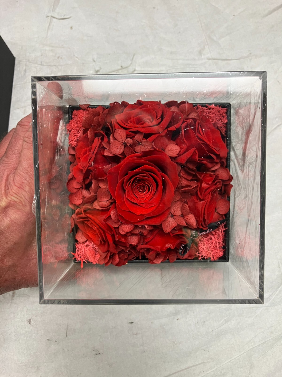 Agrul Preserved Real Roses Gifts for Her Women RED Eternal