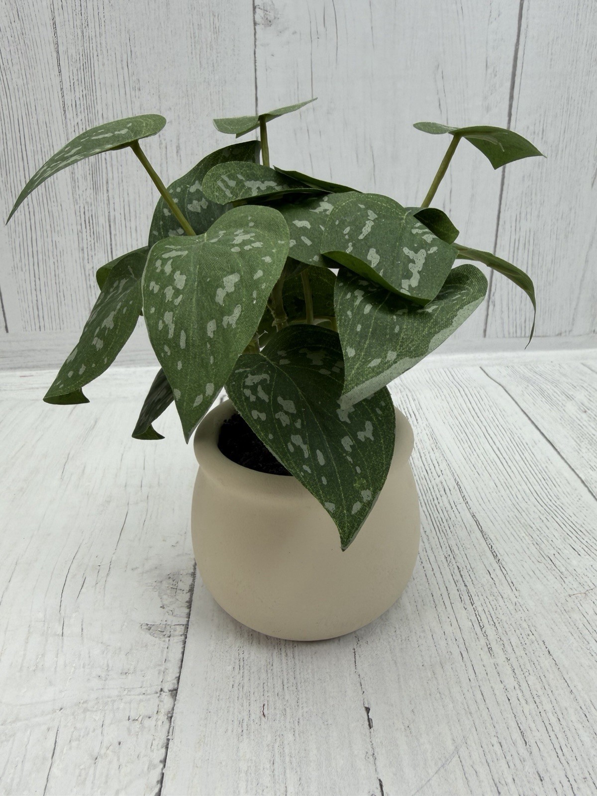 Hearth & Hand with Magnolia Satin Pothos Artificial Plant Farmhouse Decor