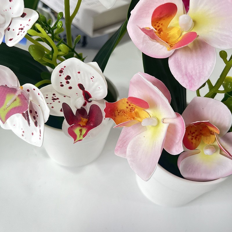 Lifelike Small Butterfly Orchid 9.45in Plastic Potted Indoor Table Decor