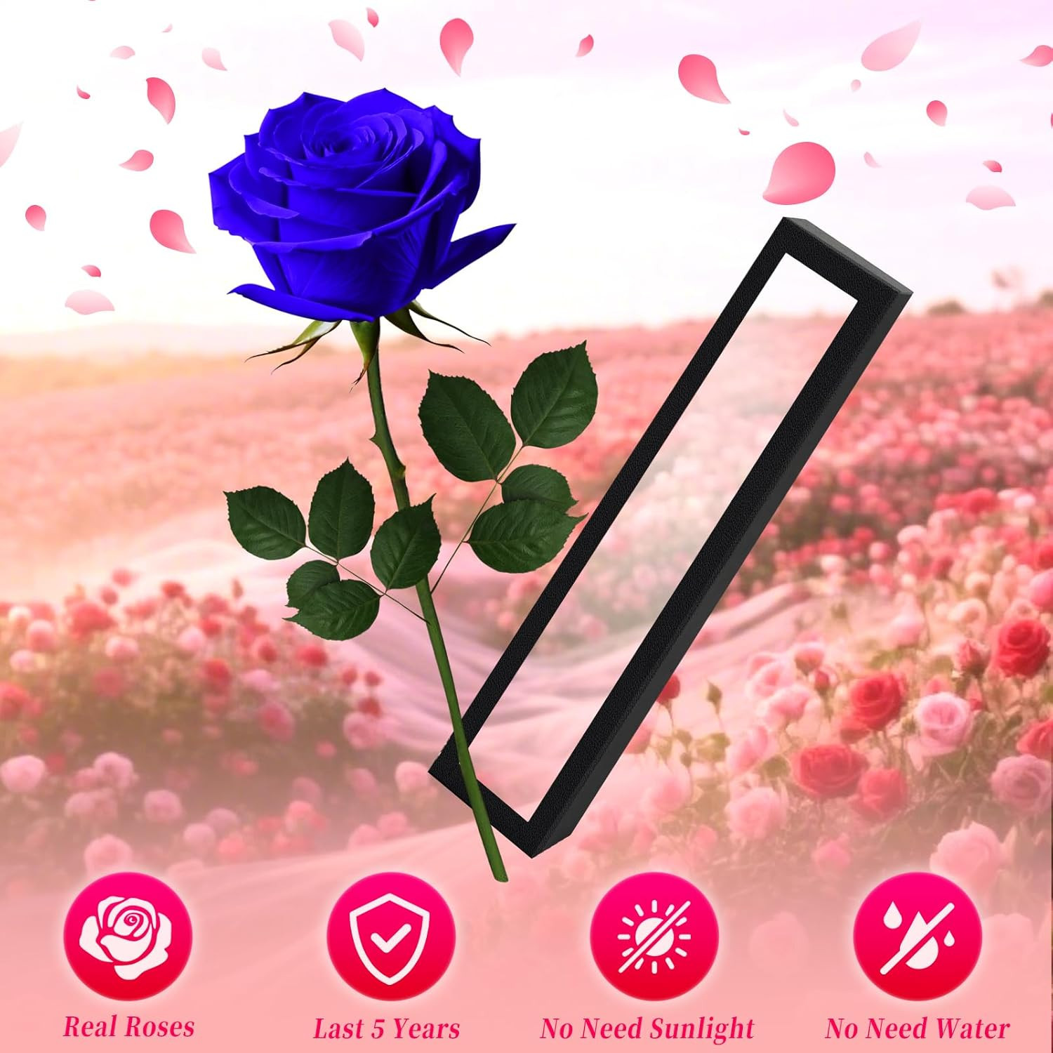 Blue Single Forever Roses in a Box,Preserved Flowers for Delivery,Preserved Rose