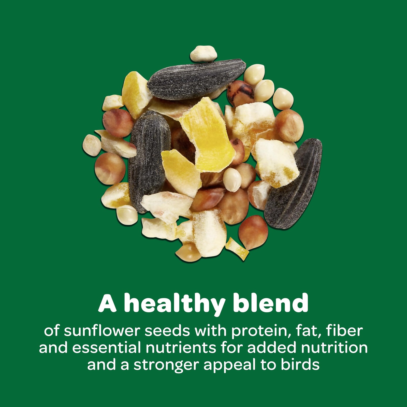 Wild Bird Food Basic Seed Blend, 5 lb 5 Pound (Pack of 1)