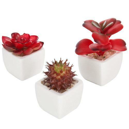 Assorted Artificial Red Succulent Plants, Fake Plants in Square Pots, Set of 3