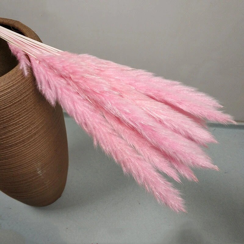 15Pcs Pampas Grass Wedding Home Decor 50cm Stems Real Dry Flower Pantas Dried
