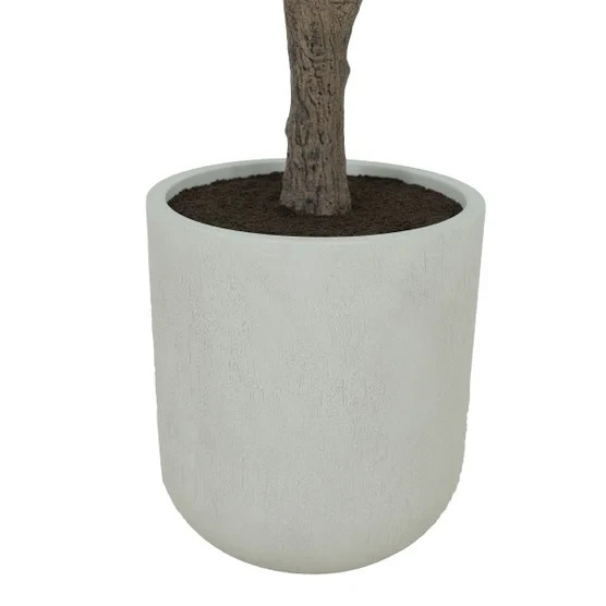 Life-like Faux 8′ Tall Olive Tree with Modern Cream Planter Indoor