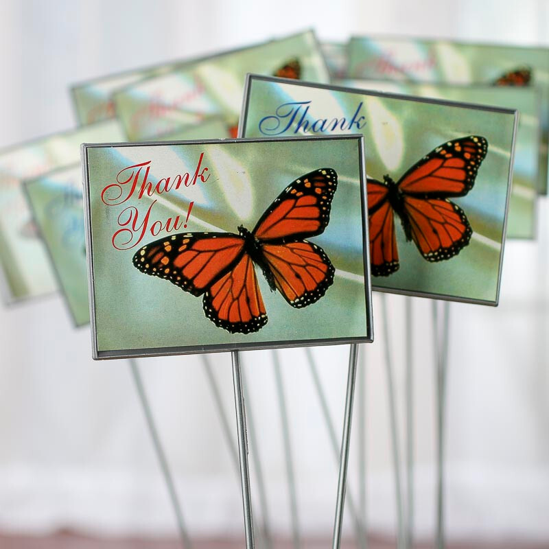 Bulk Lot of 48 Floral Embellishing Acrylic Butterfly ‘Thank You’ 13-1/2″ Picks