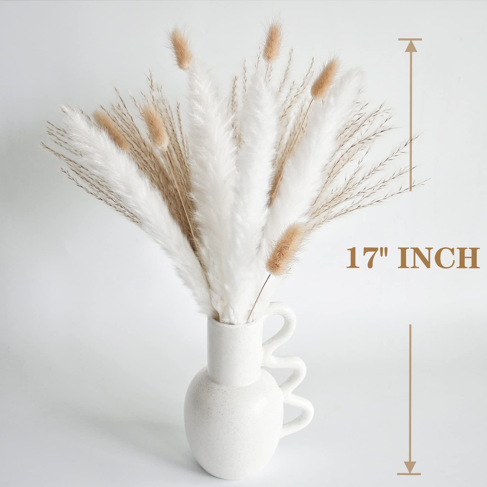 Natural Dried Pampas Grass Decor, White Pampas Grass， Bunny Tails Dried Flowe…