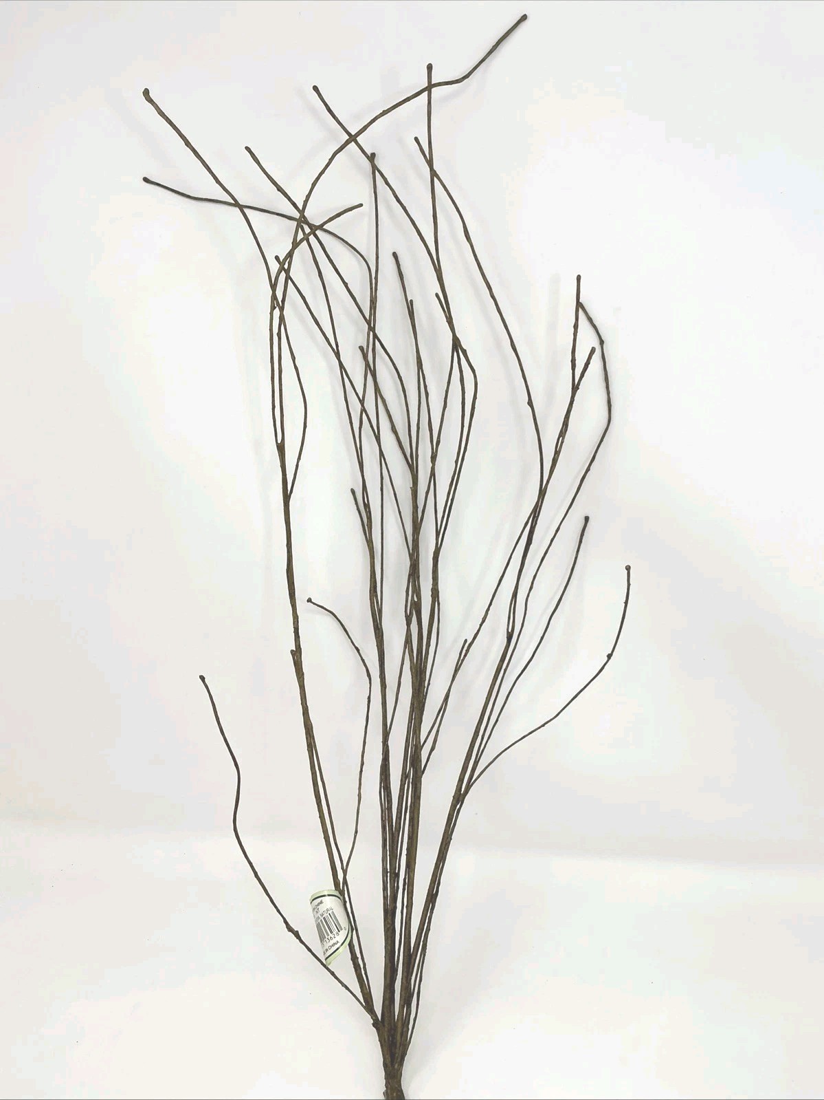 Winward Silks Japanese Zelkova 40” Long Natural Vase Basket Filler 1 Pick NOS